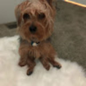 Meet your Posher, Amy